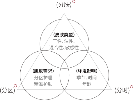 三分法养肤体系示意图